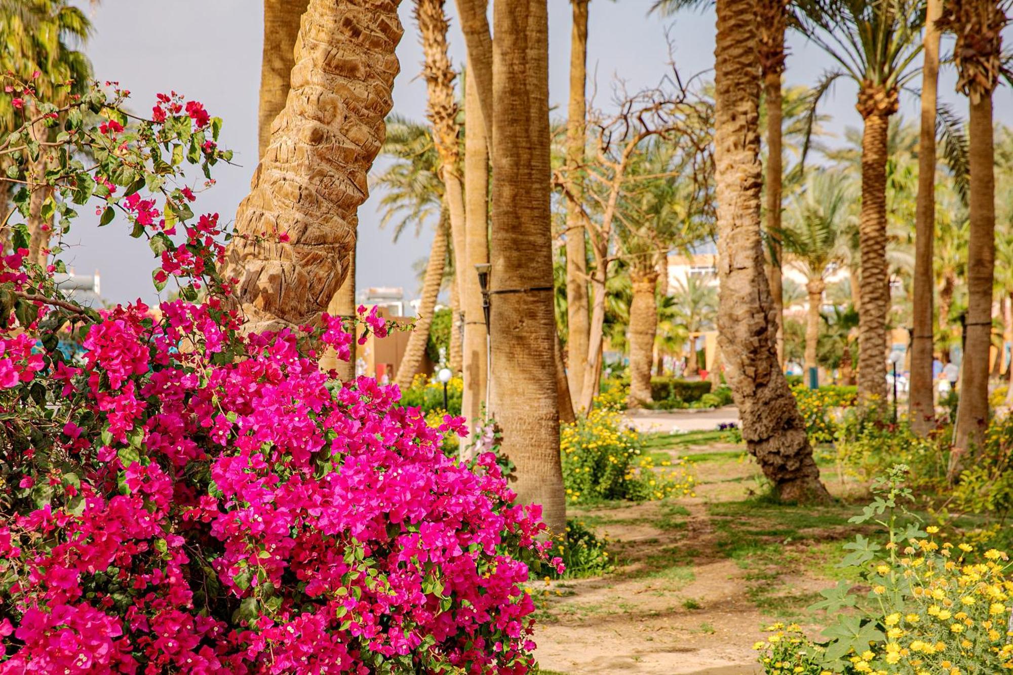 Giftun Azur 3* Hurghada