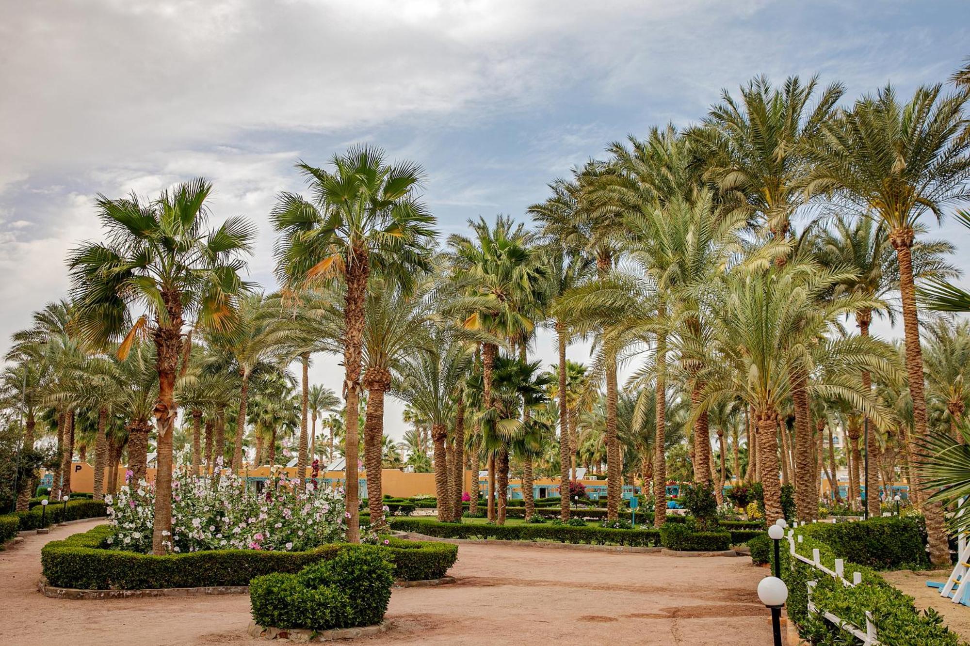 Giftun Azur Station touristique Hurghada