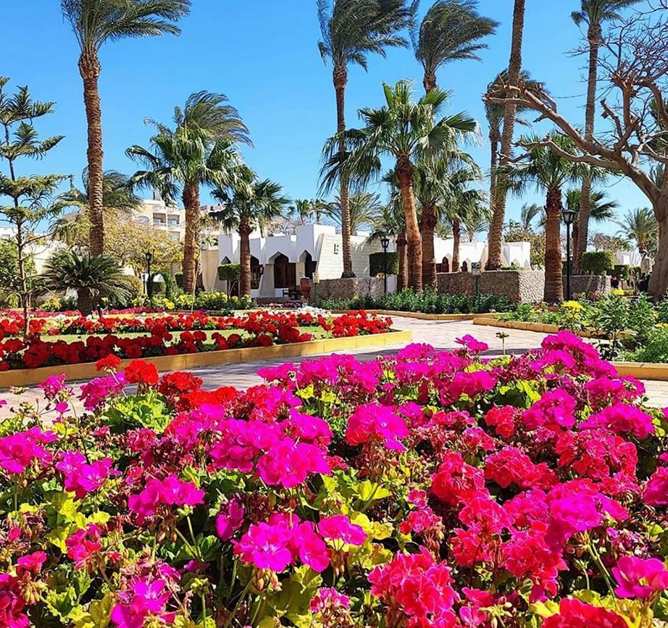 Zya Regina And Aqua Park 4* Hurghada