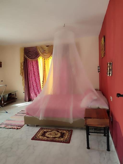 Apartment In Stella Makadi On Ground Floor *