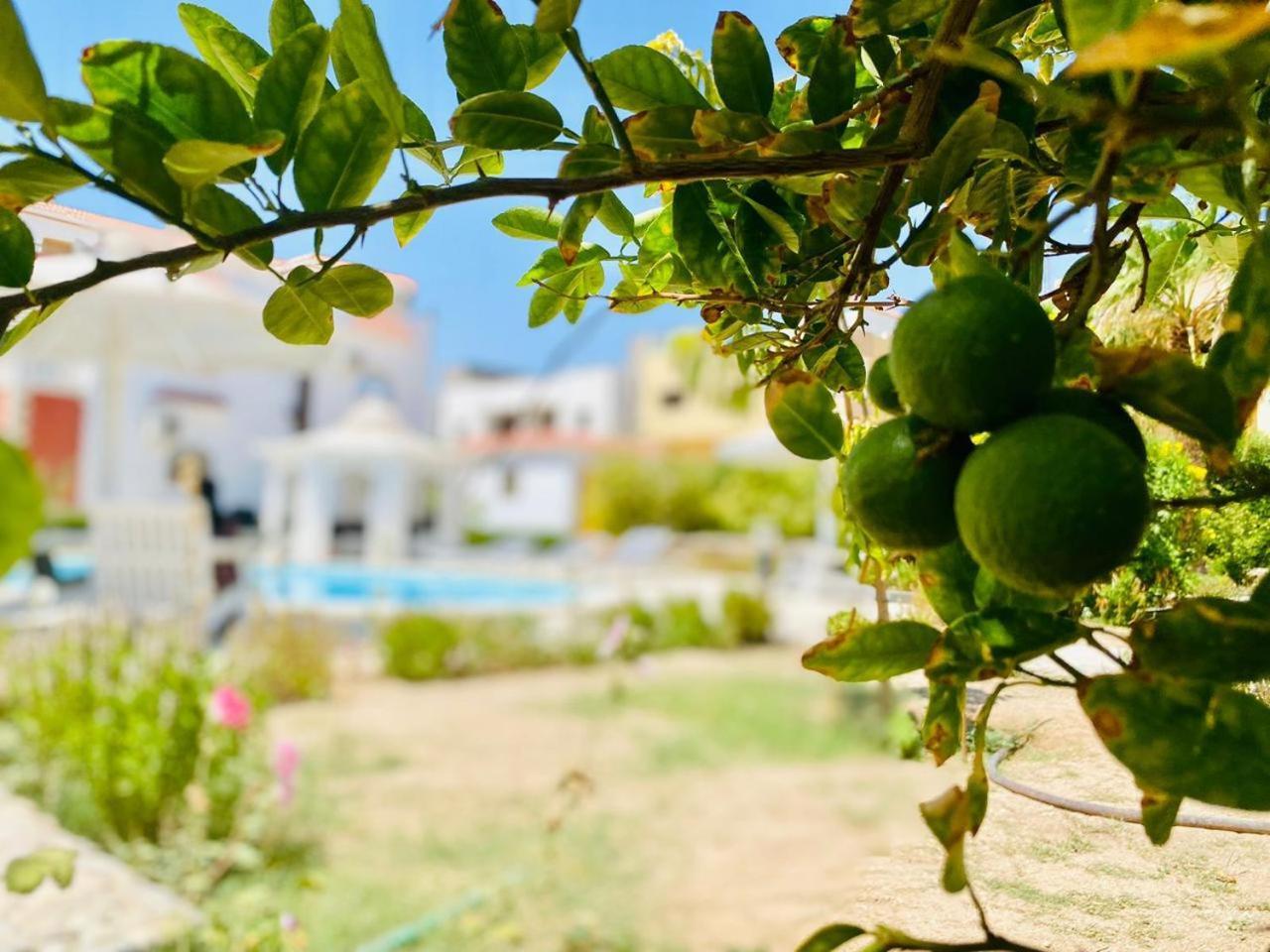 Villa Happiness Majawish, Close To The Center Hurghada