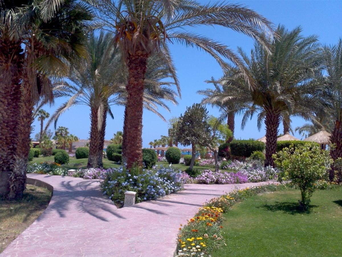 Lotus Bay