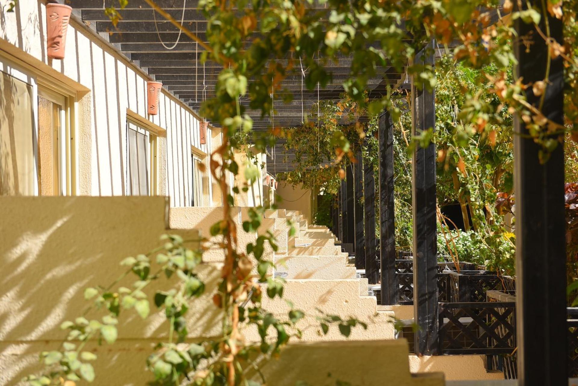 Apartment Florenza Khamsin