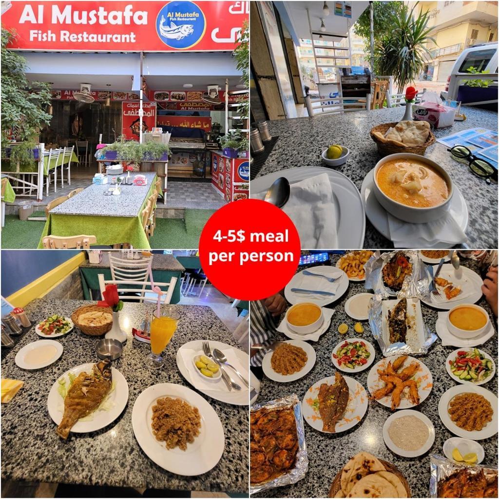 Private Garden Wi-fi And Access Hurghada