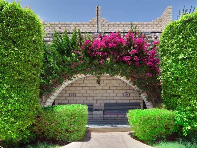 Resort Jasmine Village Hurghada