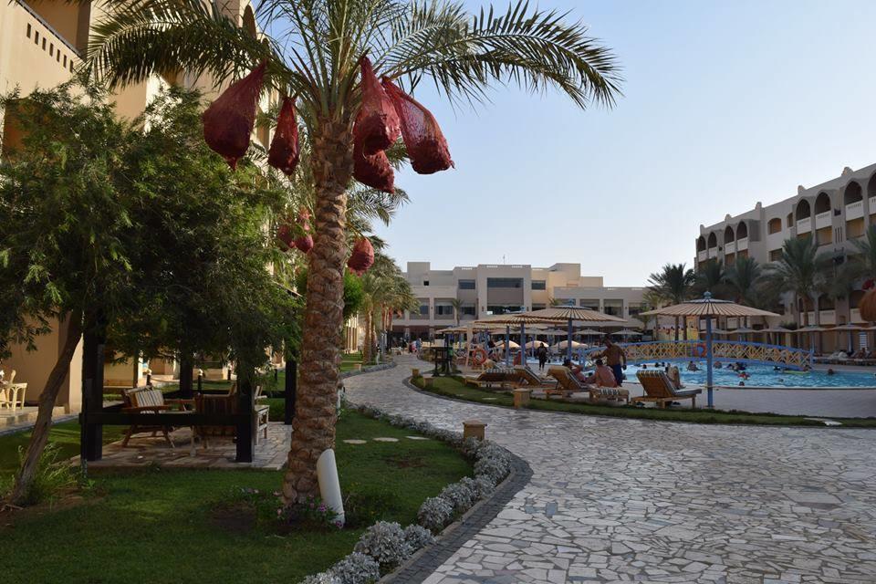 Comfortable In Nubia 4 Stars With Private And Pools Apartment Hurghada