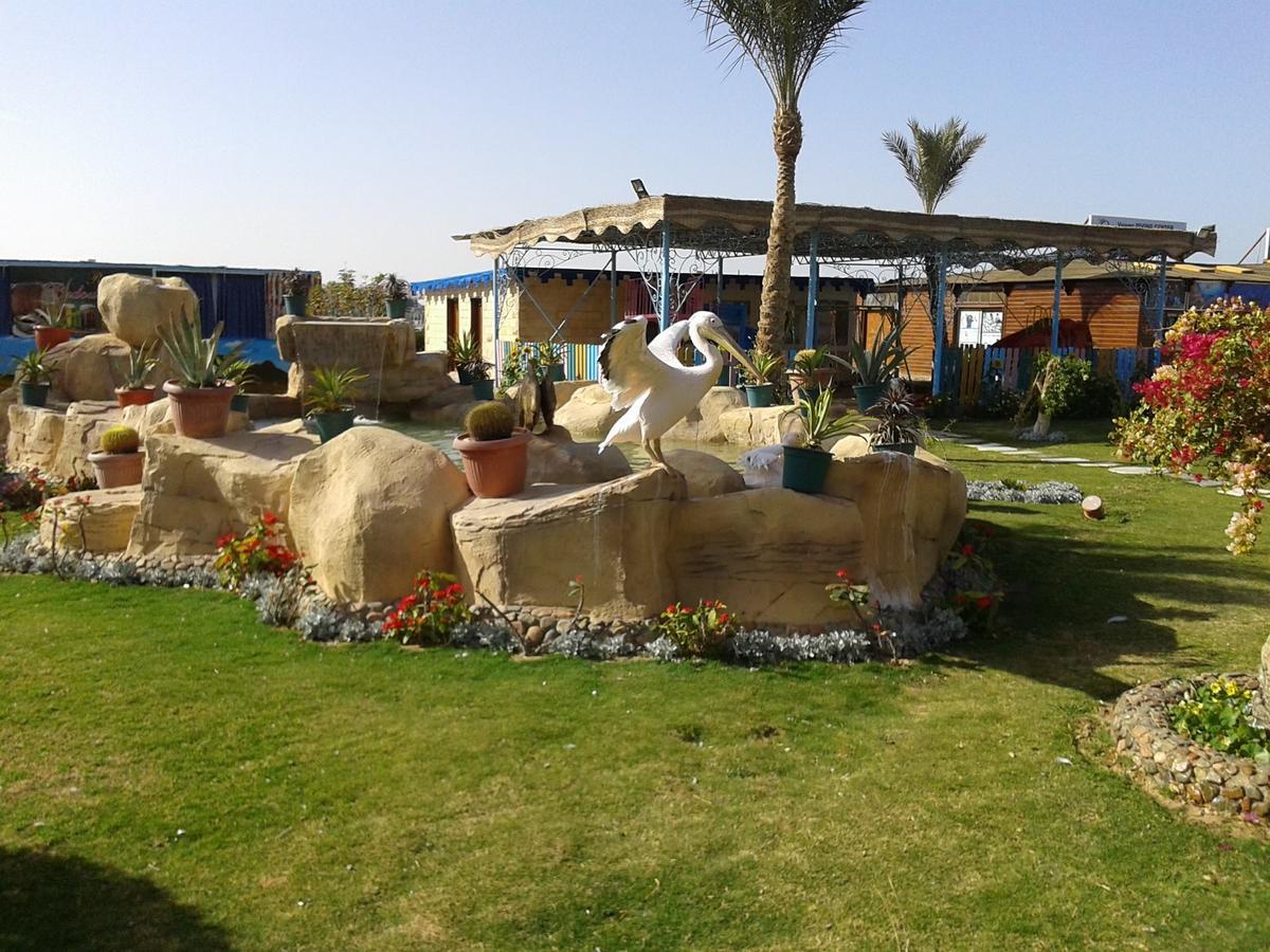Hawaii Riviera Club Aqua Park - Families And Couples Only Hurghada