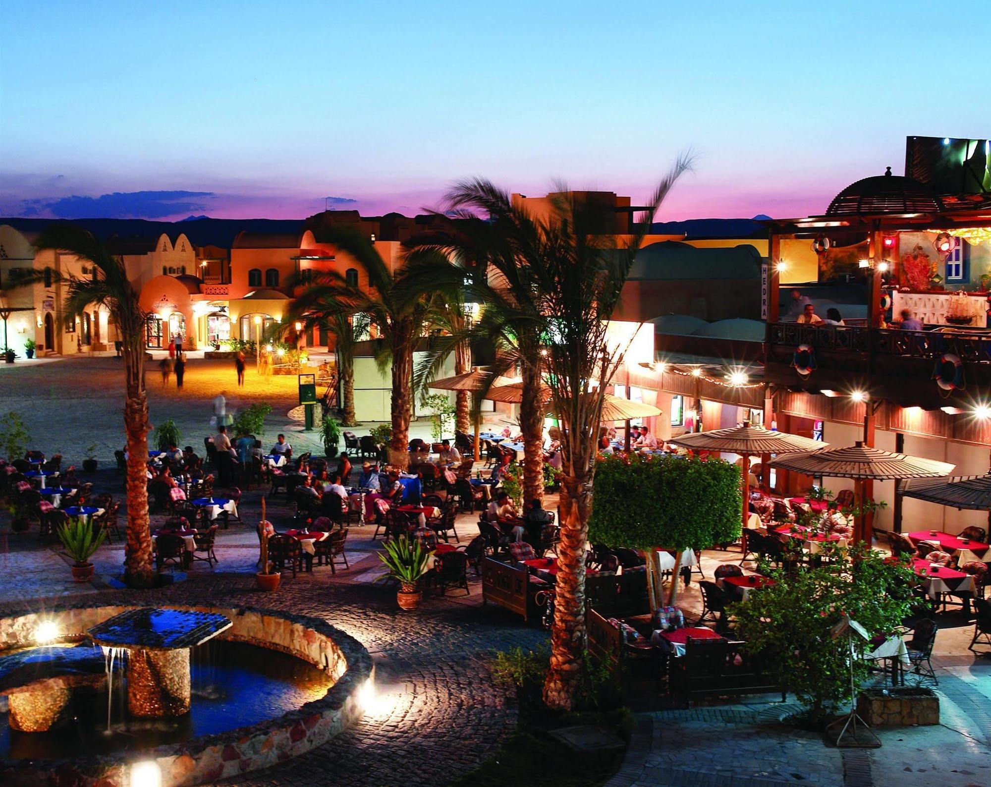 Turtle's Hurghada