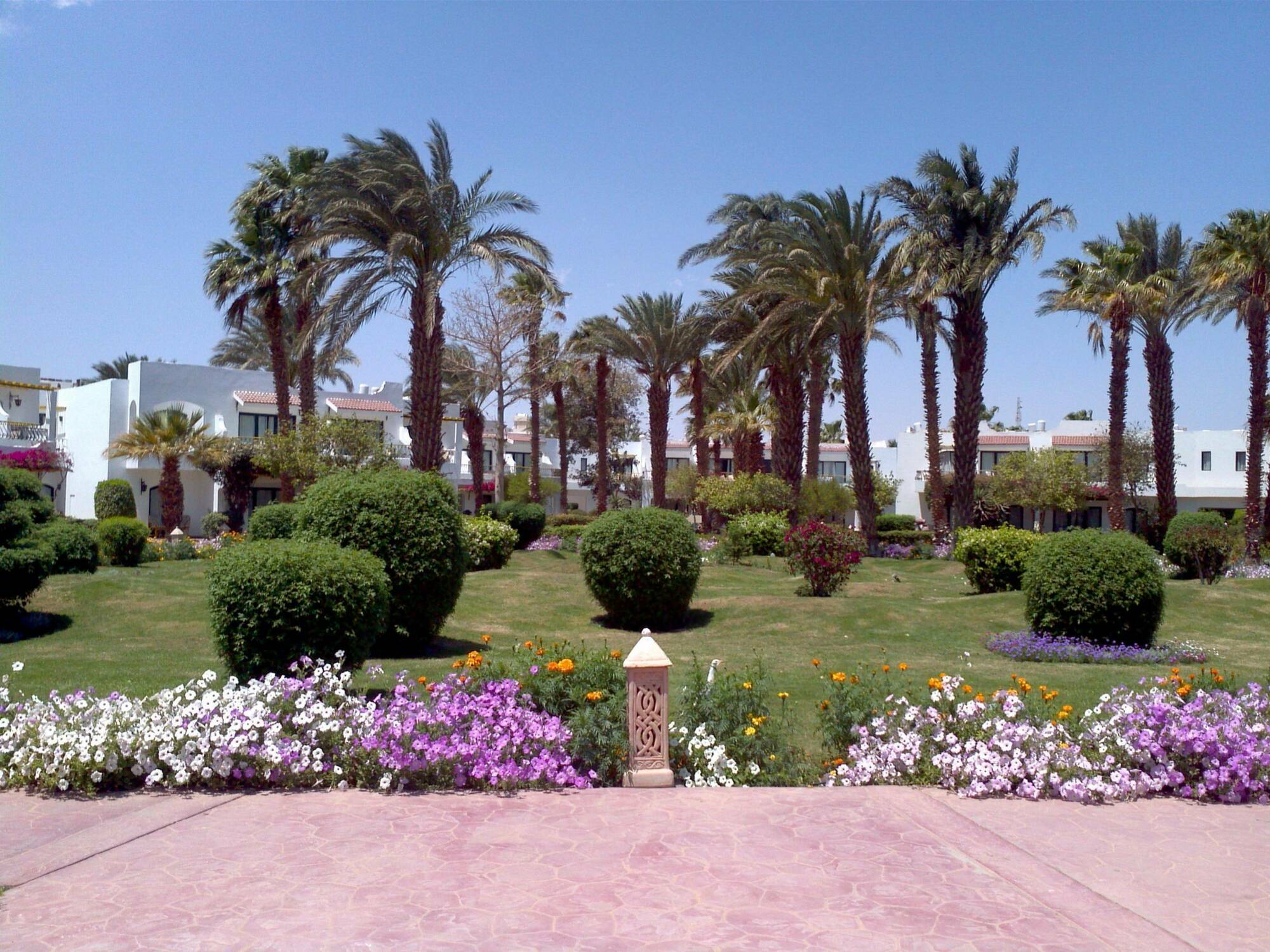 Resort Lotus Bay 4*